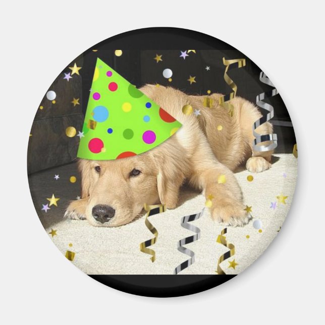 Imán Recuperador de oro animal de fiesta de cumpleaños (Frente)