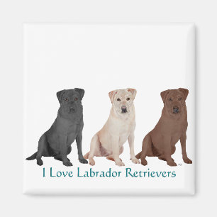 Imán Recuperadores de Labrador - 3 colores para amar