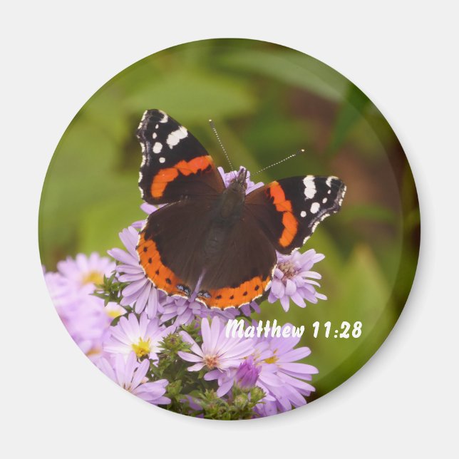Imán Red Admiral Magnet (Frente)