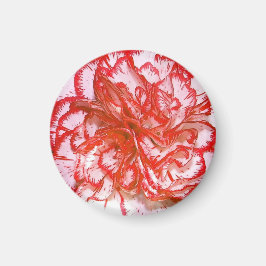 Imán Red Carnation Magnet