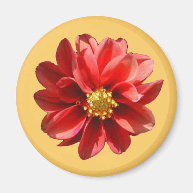 Imán Red Dahlia Magnet (Frente)
