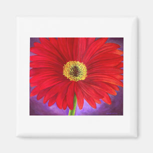 Imán Red Daisy Gerber Flower Pinting Art - Multi