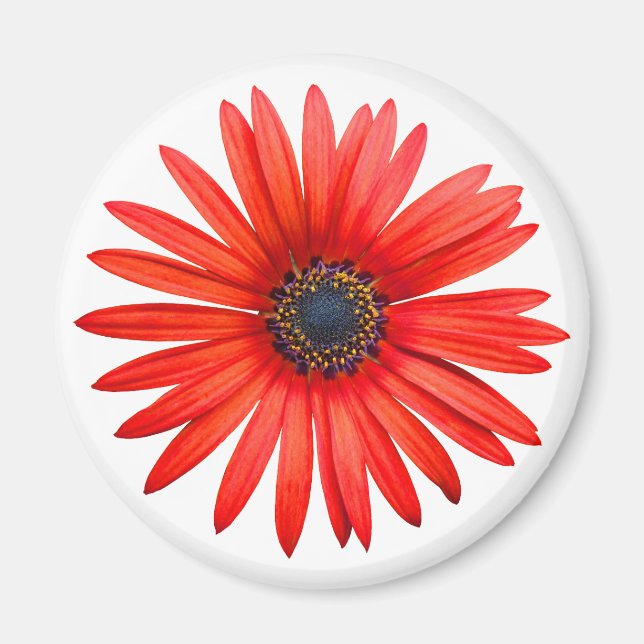 Imán Red Devil (Frente)