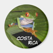 Red Eyed Gaudy Frog Personalizable Magnet