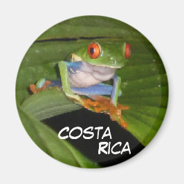Imán Red Eyed Gaudy Frog Personalizable Magnet