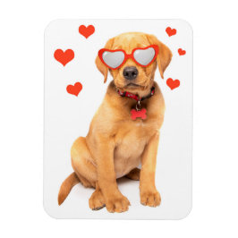 Imán Red Fox Labrador Puppy Love