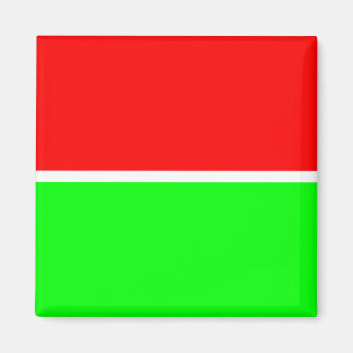 Imán Red Green 001 magnet