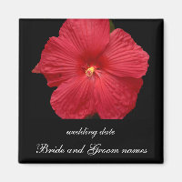 Red Hibiscus
