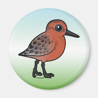 Imán Red Knot