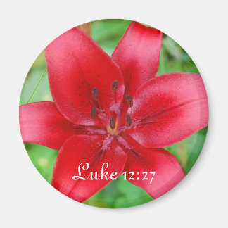 Imán Red Lily Magnet Luke 12:27