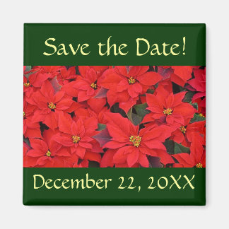 Imán Red Poinsettias I Save the Date Magnet