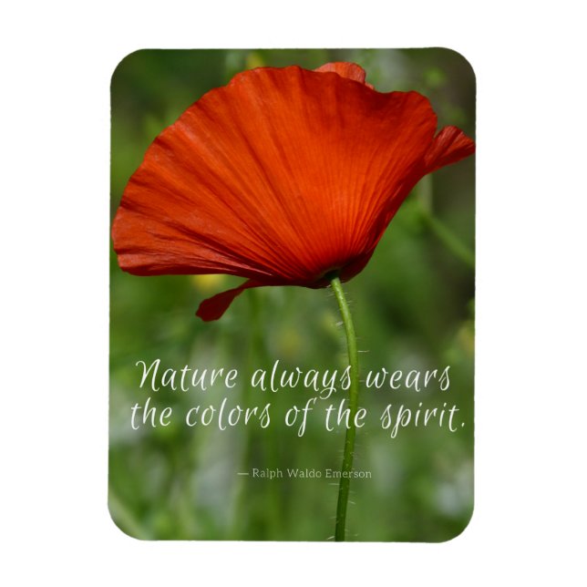Imán Red Poppy Emerson Nature Cita Magnet (Vertical)