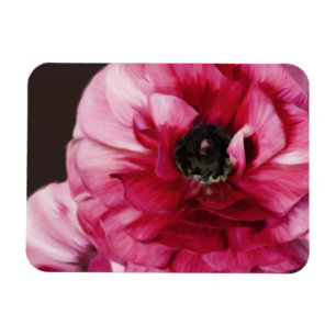 Imán Red Ranunculus