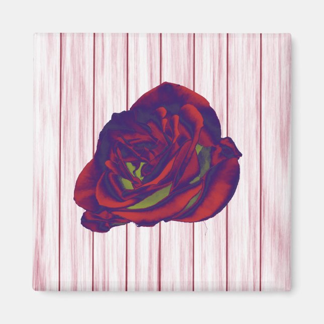 Imán Red Rose Magnet (Frente)