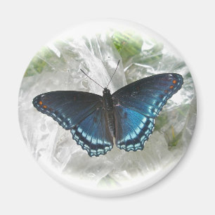 Imán Red Spots Purple Butterfly Magnet