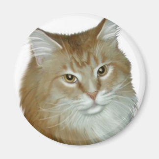 Imán Red Tabby Maine Coon