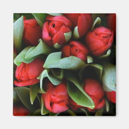 Imán Red Tulips Bouquet