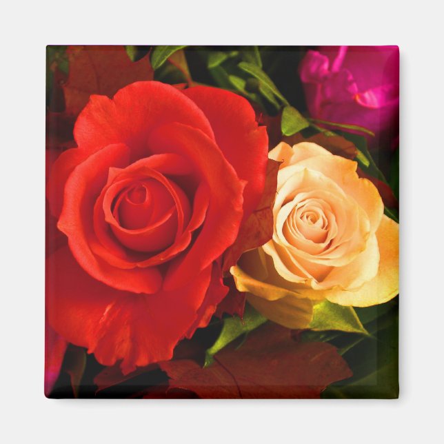 Imán Red Yellow Rose Magnet - Personalizable (Frente)
