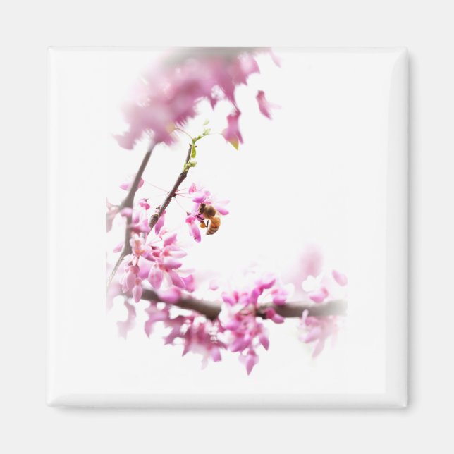 Imán Redbud & honeybee-8742 (Frente)