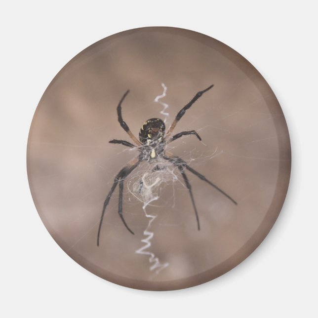 Imán Redes de araña (Frente)