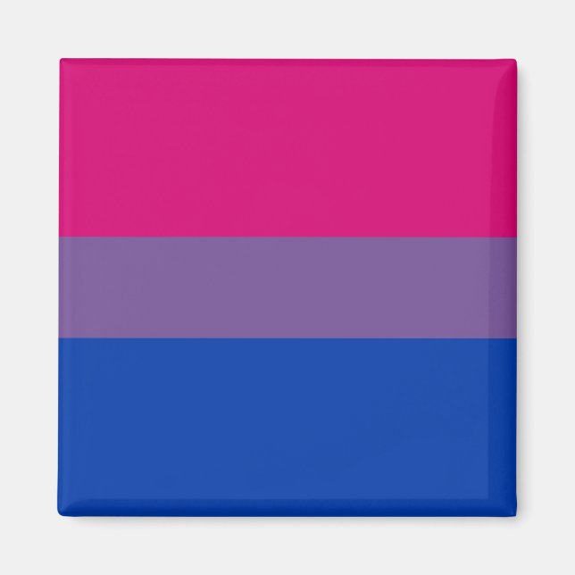 Imán Redes de Bandera del Orgullo Bi (Frente)