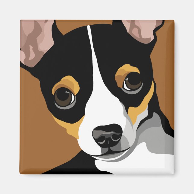 Imán Redes de Chihuahua (Frente)