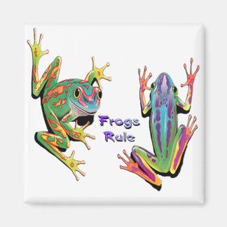 Imán Redes de regla de ranas
