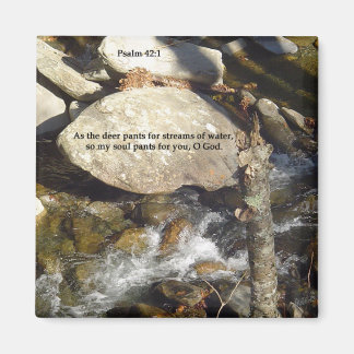 Imán Redes: salmo de flujo