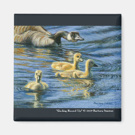 Imán "Redondeo impresionante"