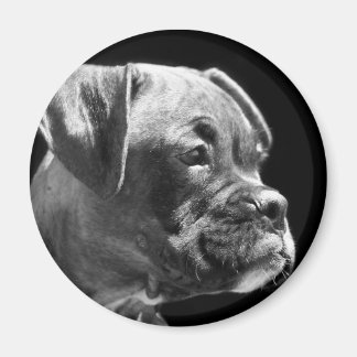 Imán redondo de cachorro de boxeador