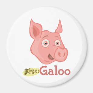 Imán redondo de Galoo