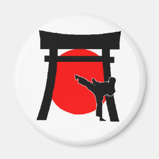 imán redondo de ichiban