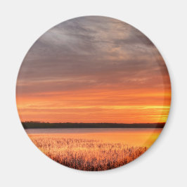 Imán Redondo de imanes