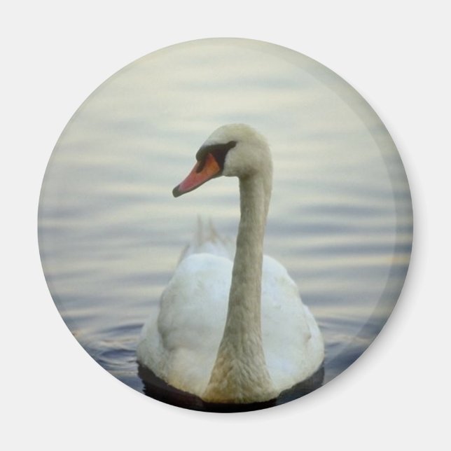 Imán Redondo de imanes (Frente)