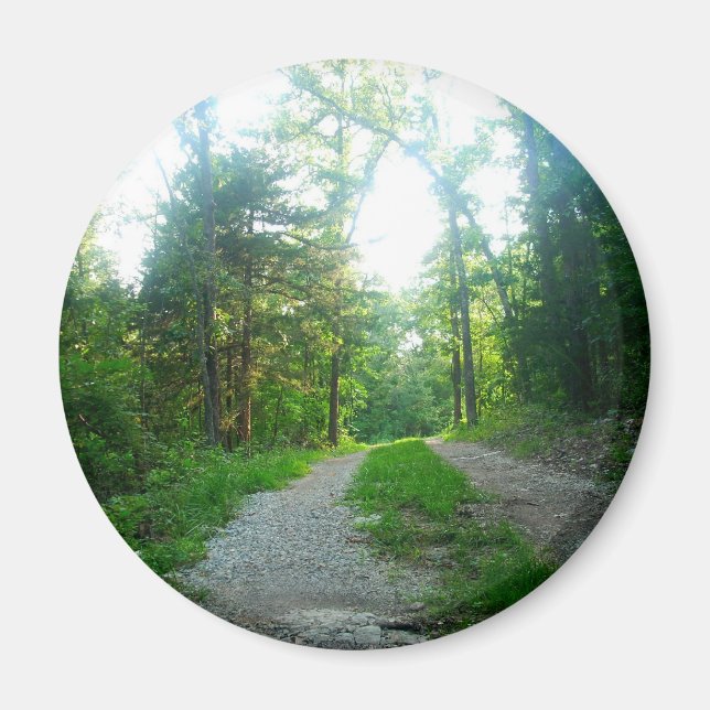 Imán Redondo de imanes (Frente)