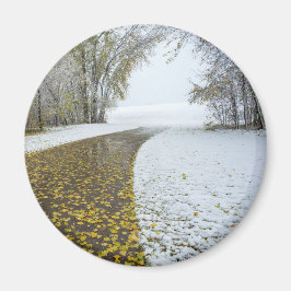 Imán Redondo de imanes