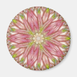 Imán Redondo de imanes