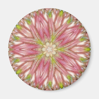 Imán Redondo de imanes