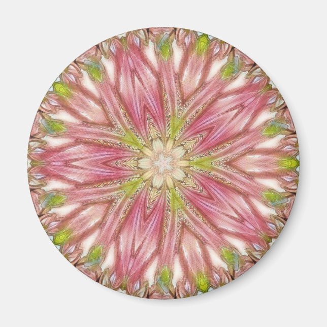 Imán Redondo de imanes (Frente)