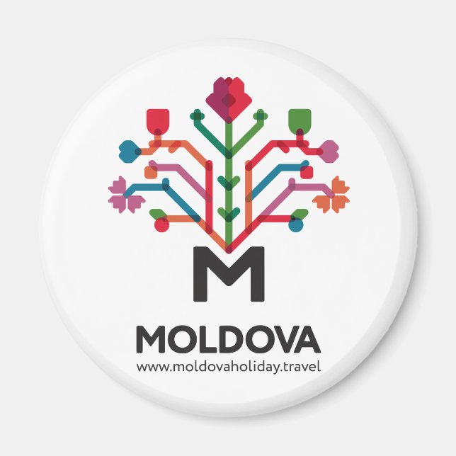 Imán Redondo de imanes (Frente)