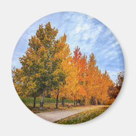 Imán Redondo de imanes