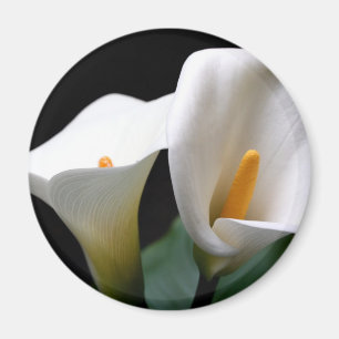 Imán redondo de la flor blanca de la cala