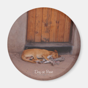 Imán redondo de perro descansando