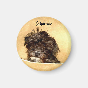 Imán redondo de perro Schnoodle