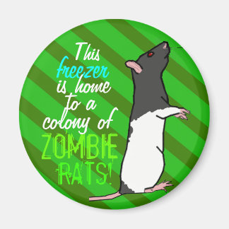 Imán redondo de rata zombie (rata del capó negro)