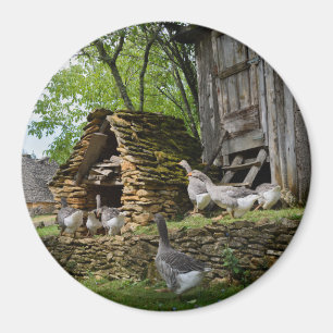 Imán redondo del foie de los gras de la granja