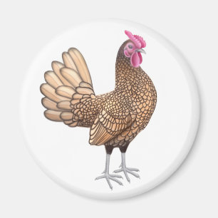Imán redondo del gallo pequeno de Sebright