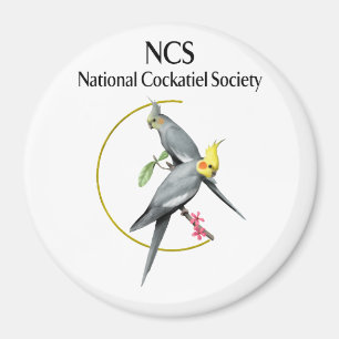 Imán redondo grande de 3 pulgadas de NCS