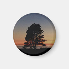 Imán Redondo magnético con solera de silueta de árbol
