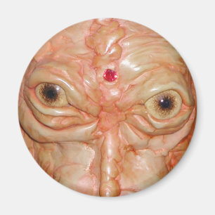 Imán redondo, "ojos del demonio de Brown "